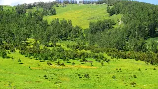 新手入门必看：传奇初期建议，少走弯路快速成长！ poster